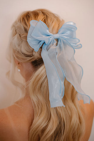 Something Blue Bow