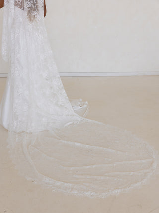 The Kathryn Veil