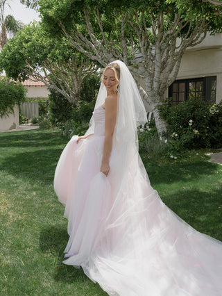 The Williams Veil