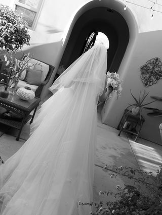 The Williams Veil