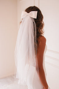 The Ariana Veil